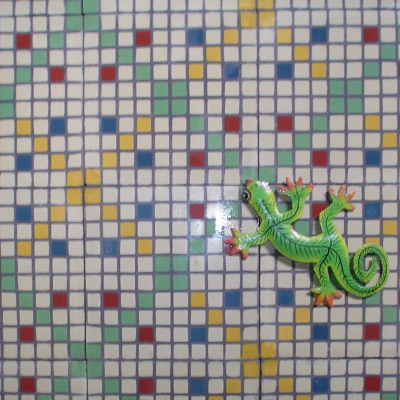 Fabricación de Baldosas Hidráulicas