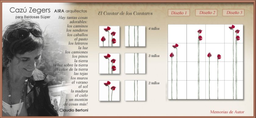 baldosas de autos Cazu Zegers