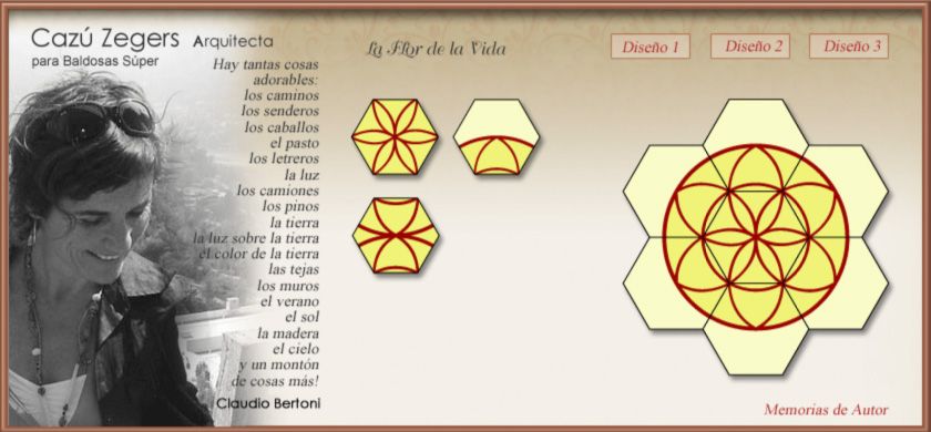 baldosas de autos Cazu Zegers