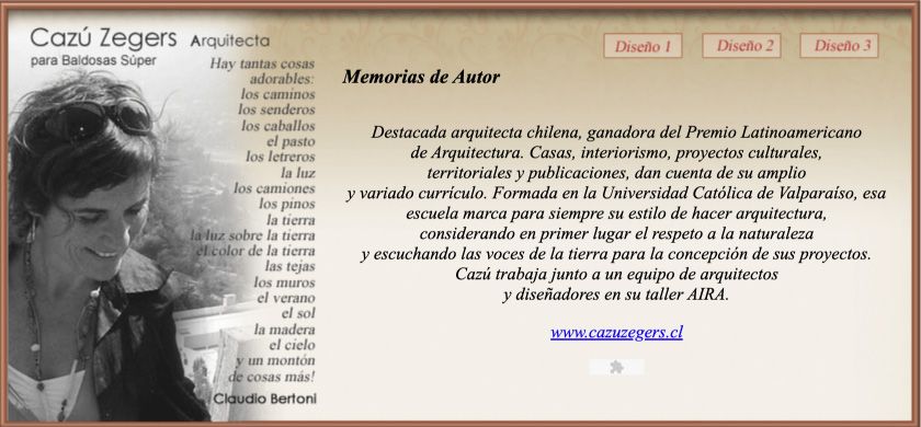 baldosas de autos Cazu Zegers